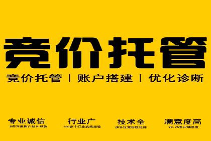 某品牌SEM广告策略揭秘——代运营公司的智慧